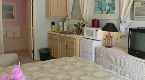 New Orleans House - Gay Male Adult