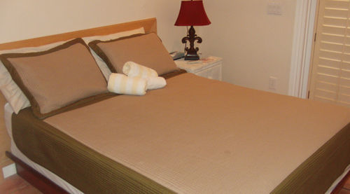 Guest house New Orleans House - Gay Male Adult Key West