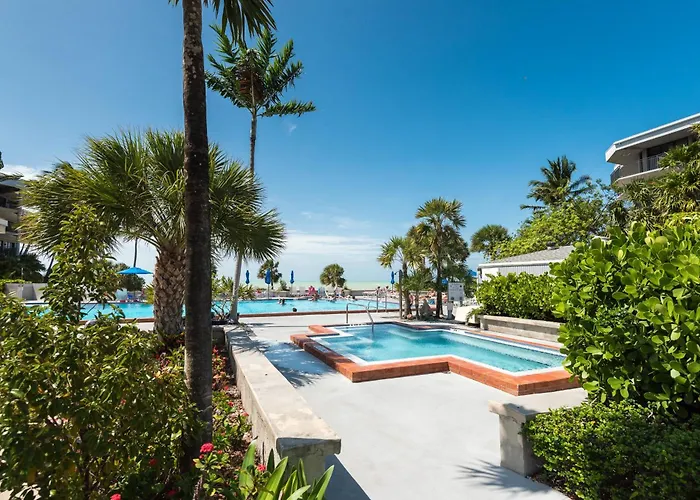 Coconut Palms