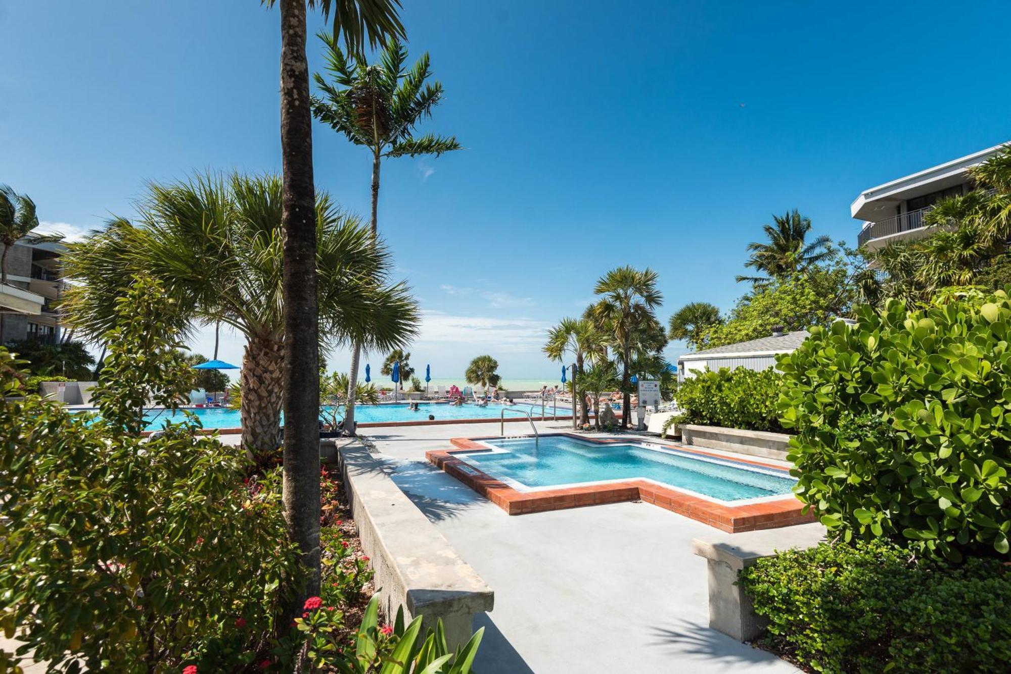 Coconut Palms *