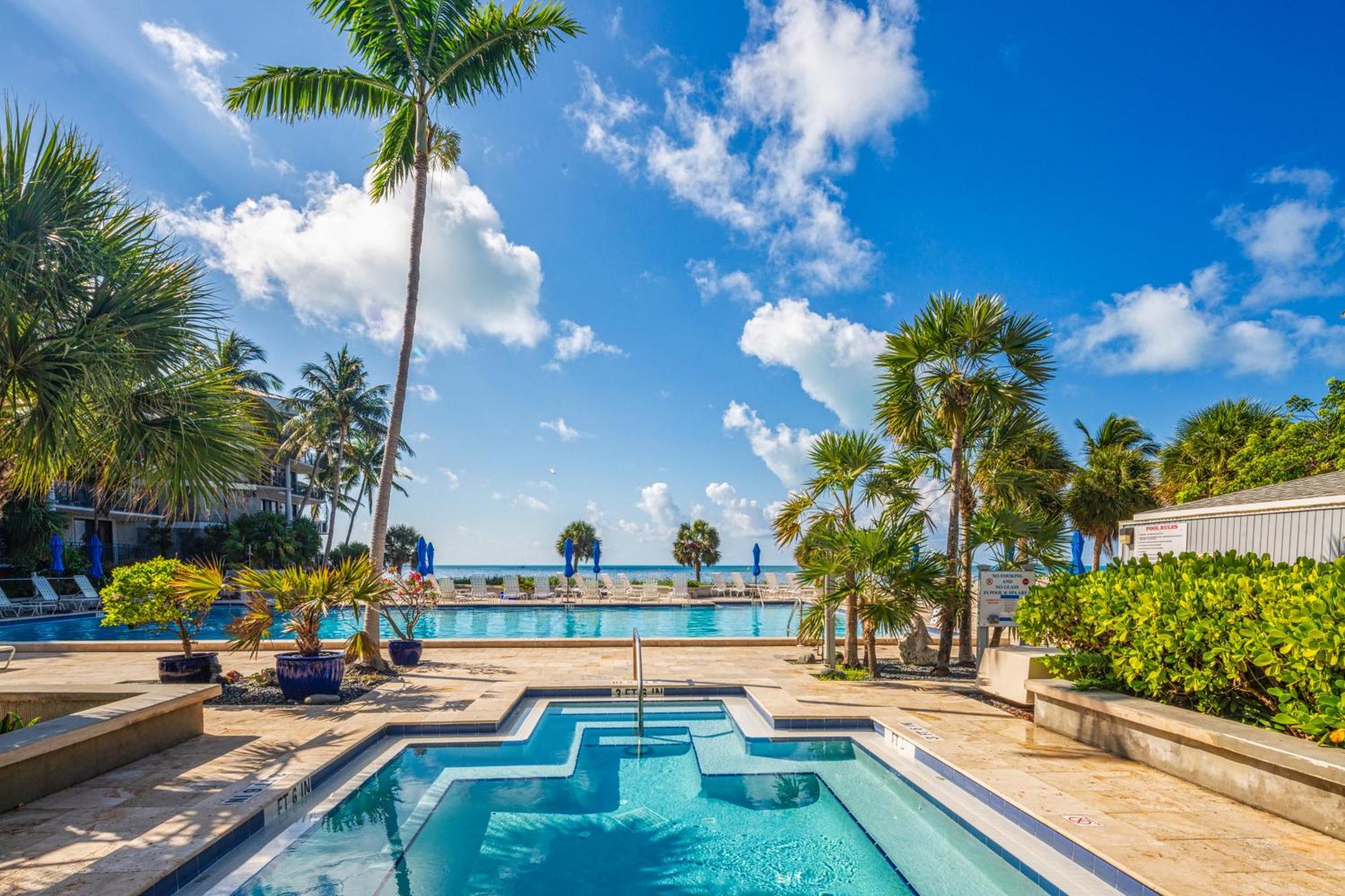 Coconut Palms *