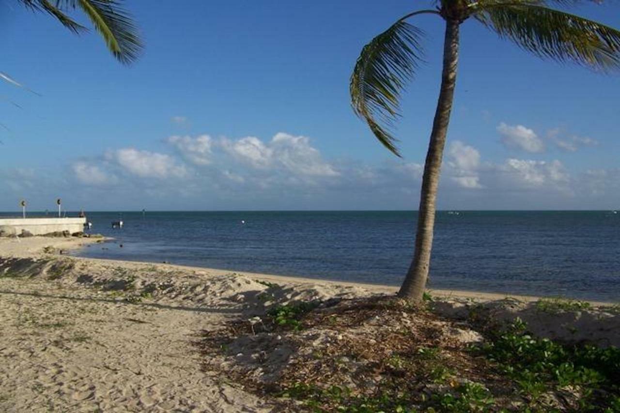 Coconut Palms Holiday home *