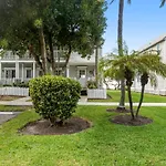 Palm Breeze