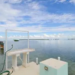 Conch Bar South