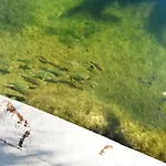 Little Bay Lower