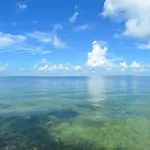 Little Bay Lower