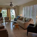 Palms 317