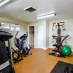 Palms 301