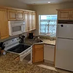Palms 317