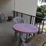 Palms 317