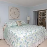 Palms 313