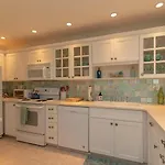 Palms 313