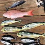 Paridise Luxury & Fishing Canal Home