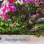 Travelers Palm Inn
