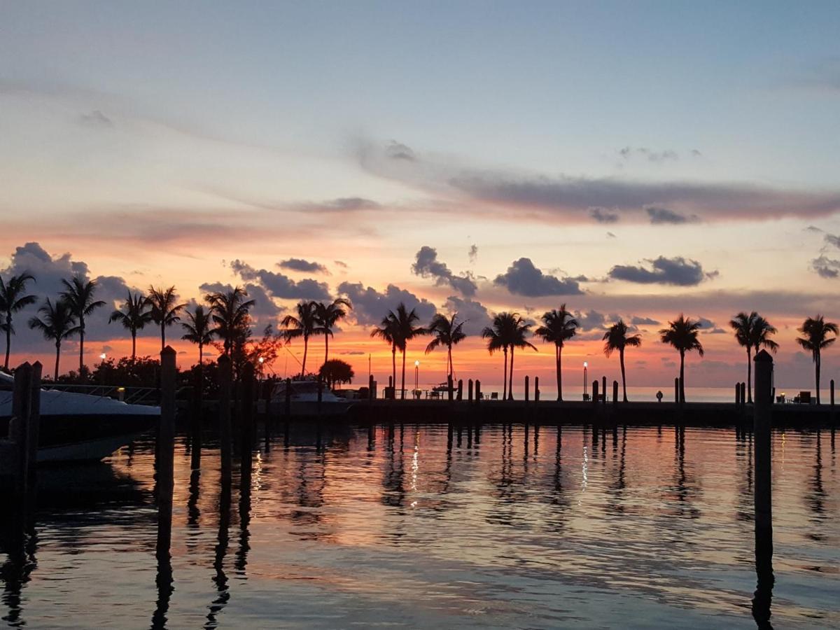 Marlin Bay & Marina Managed By Elite Alliance Hospitality Marathon