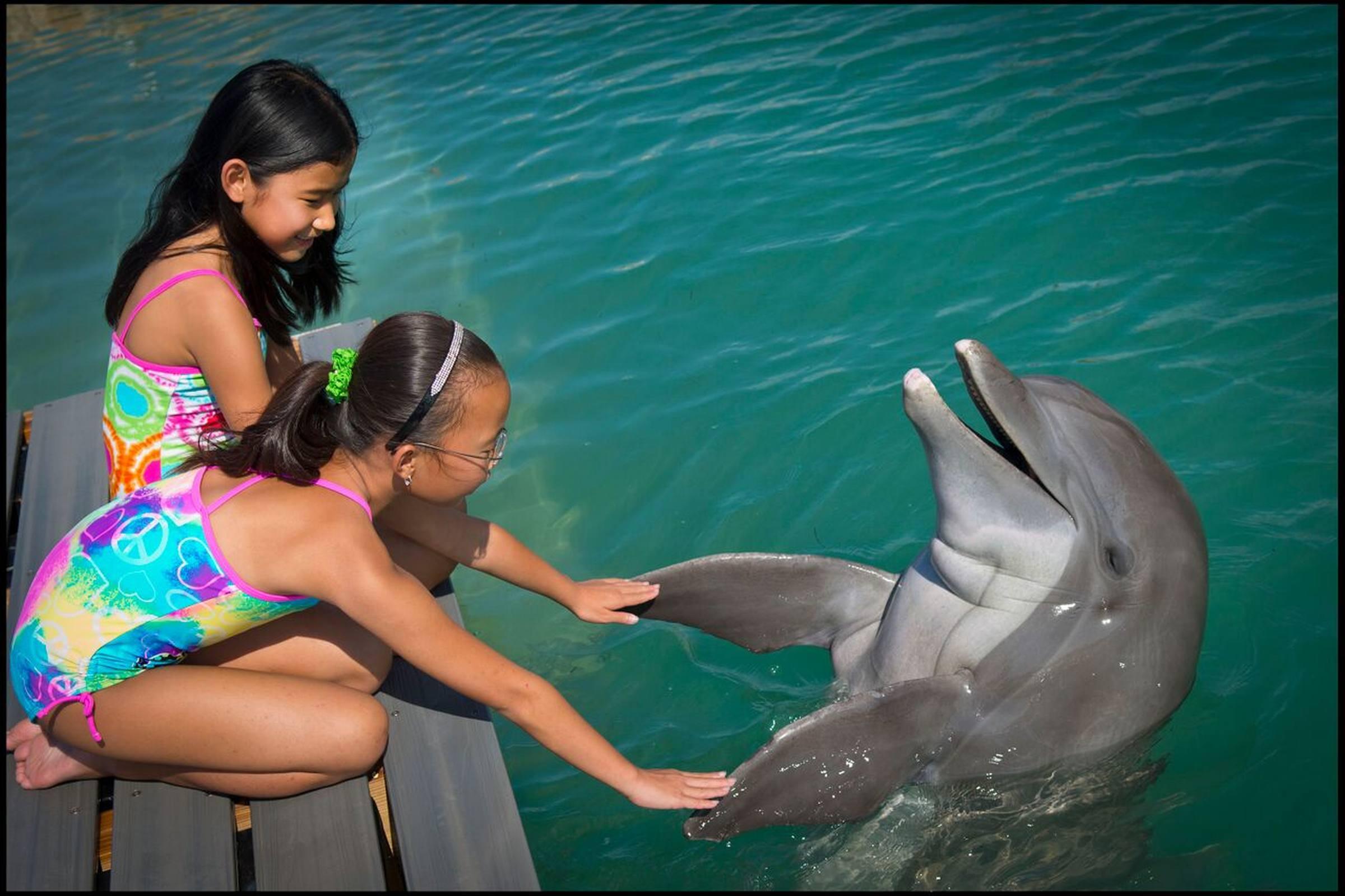 Hawks Cay Resort