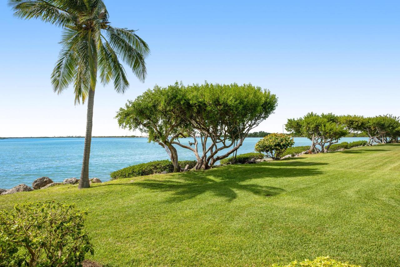 Palm Breeze *