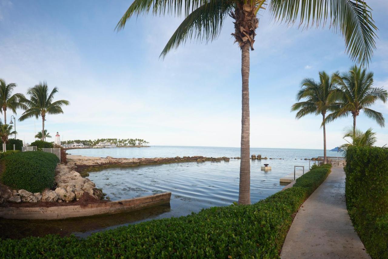 Courtyard By Marriott Faro Blanco 3*