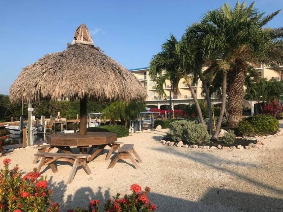 Welcome To The Pelican ! Tavernier