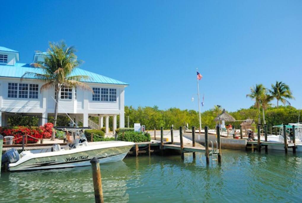 Apartment Welcome To The Pelican ! Tavernier