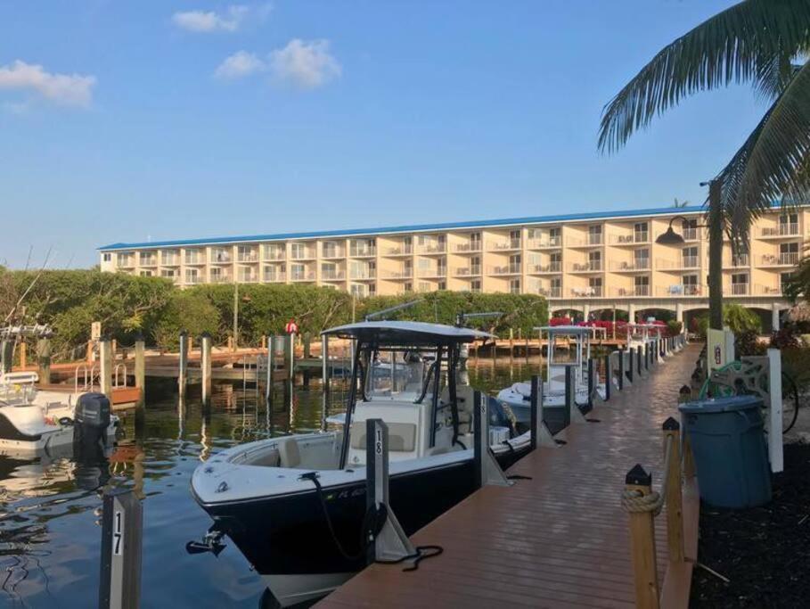 Welcome To The Pelican ! Apartment Tavernier