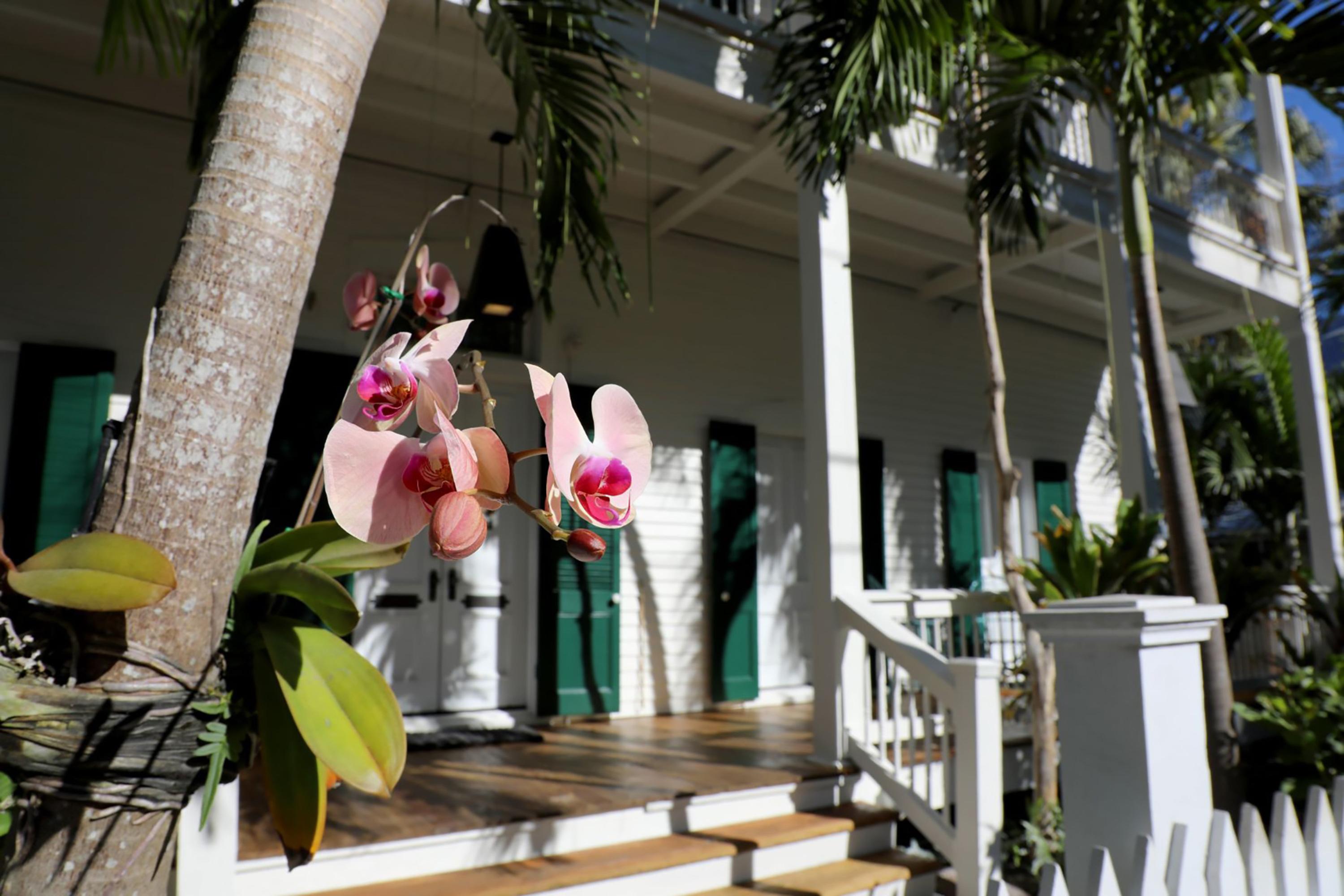Ridley House - Historic (adults Only)