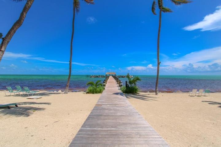 Beacon Reef 501