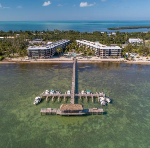 Beacon Reef 501 Islamorada