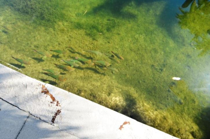 Little Bay Lower * Islamorada
