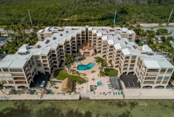 Palms 313