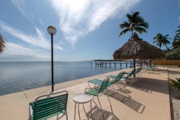 Palms 317