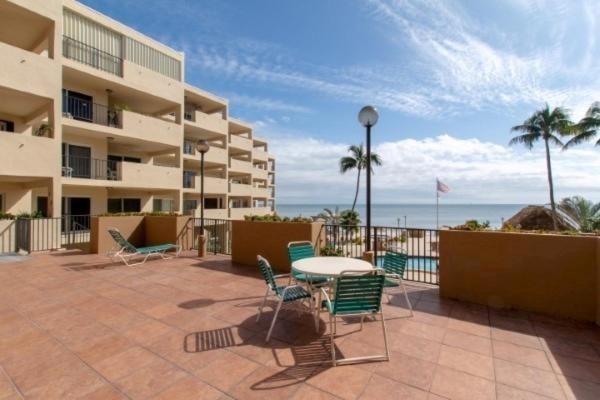 Palms 317 *