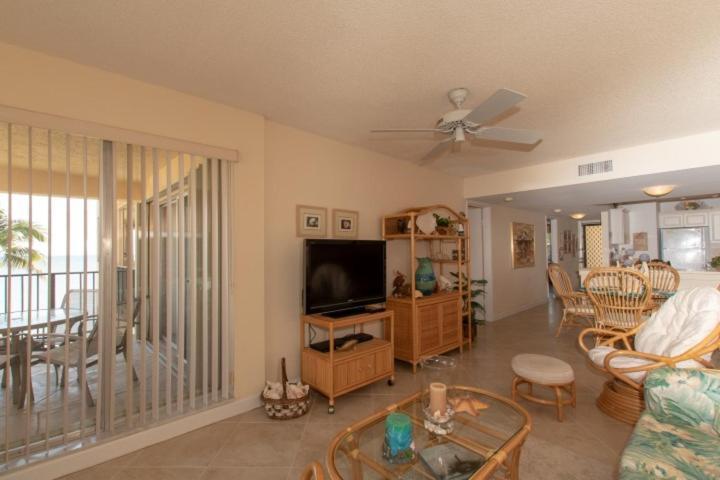 Palms 407 *