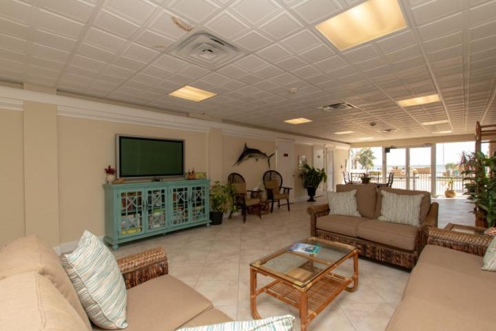 Palms 407