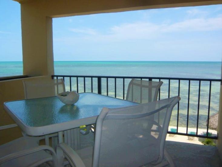 Palms 313 *