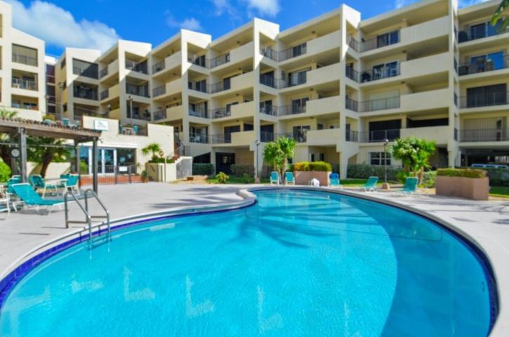 Palms 407
