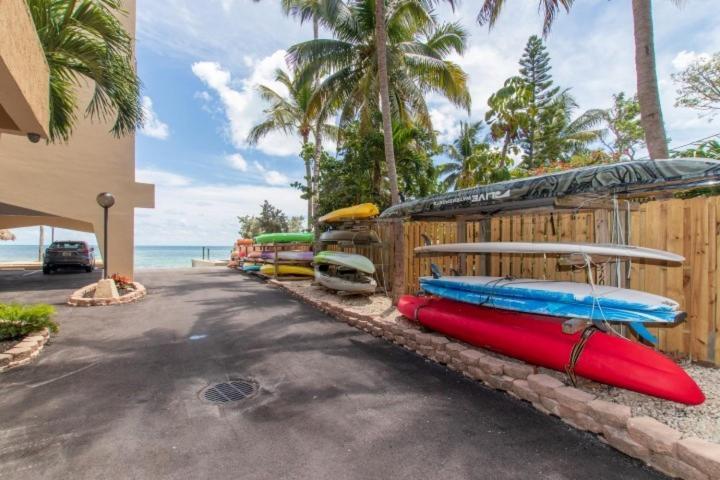 Palms 313 *