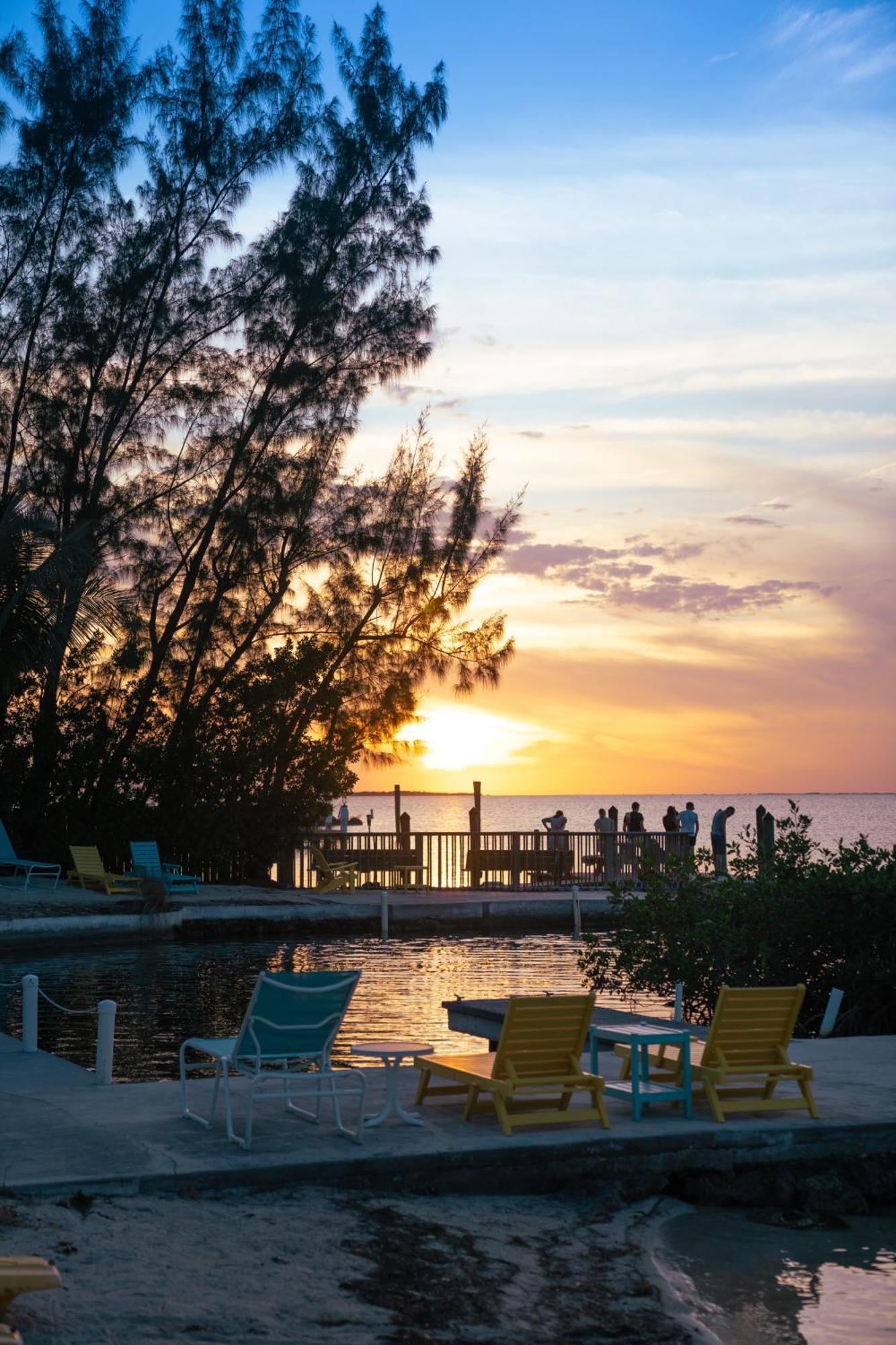Bay Harbor