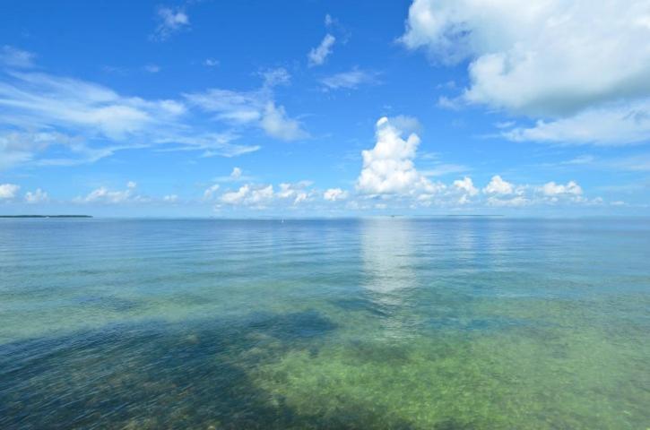 Little Bay Compound * Islamorada