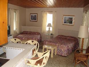 Siesta 2*