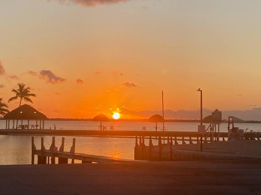 Island Oasis ~ Your Paradise Awaits! Holiday home Cudjoe Key