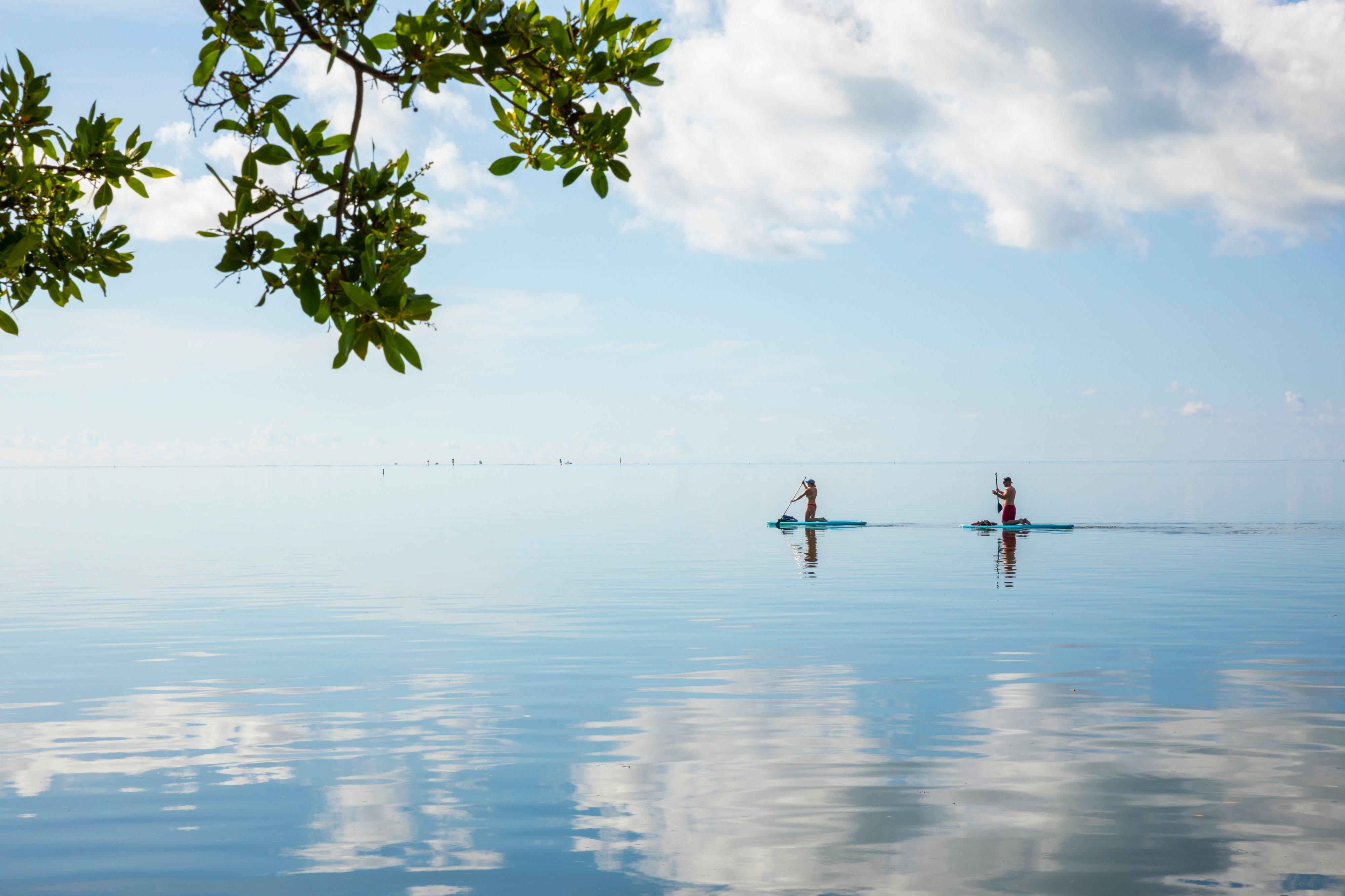 Three Waters And Marina, Islamorada, A Tribute Portfolio