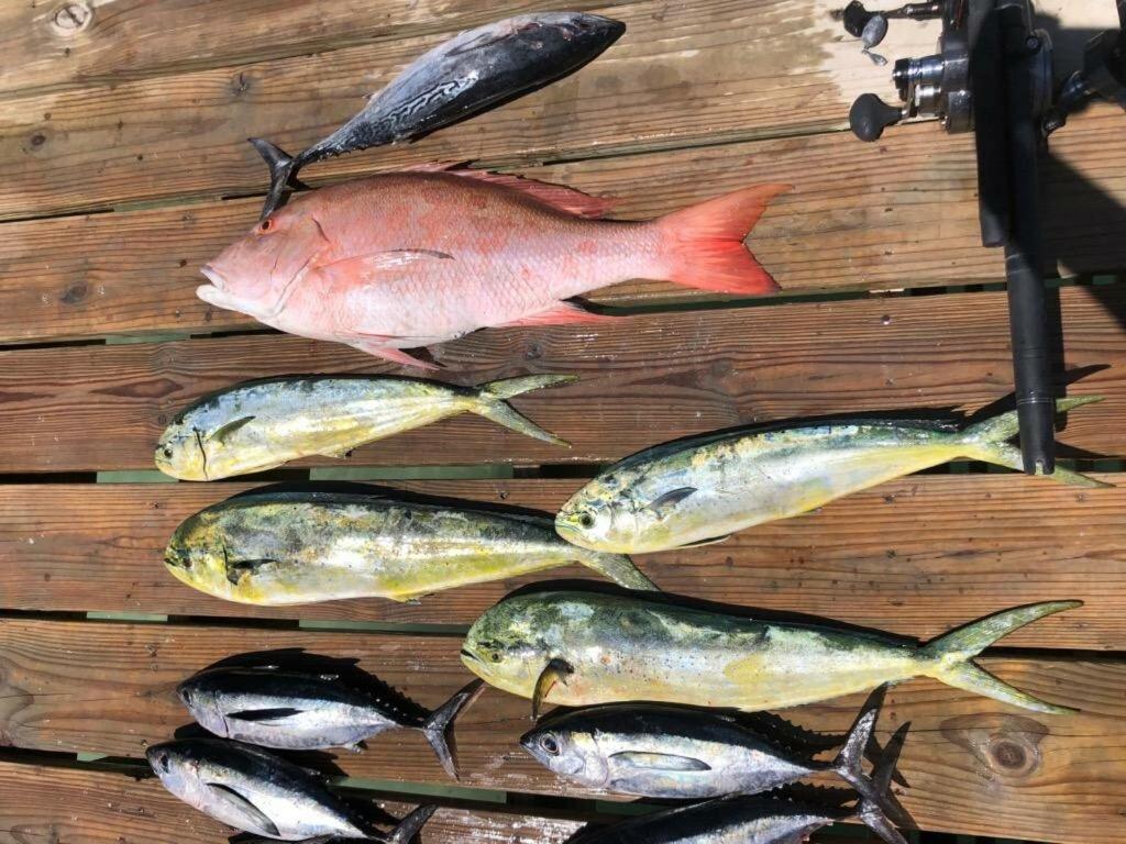 Paridise Luxury & Fishing Canal Holiday home Tavernier
