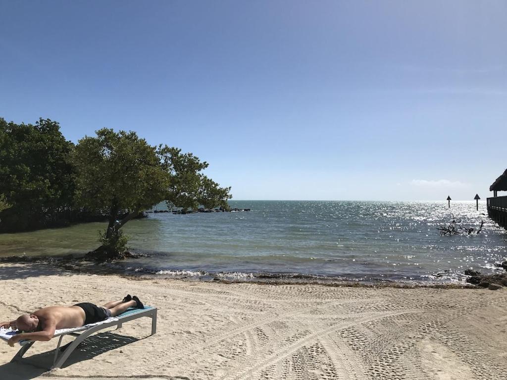 Apartment Tropical Daze Oceanfront Paradise Tavernier