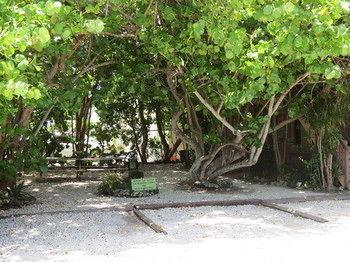 Ed & Ellen'S Lodgings Key Largo