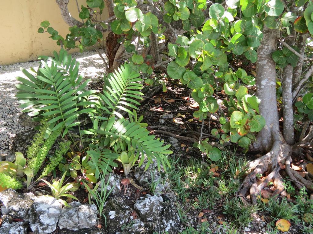 Ed & Ellen'S Lodgings Key Largo 2* Key Largo