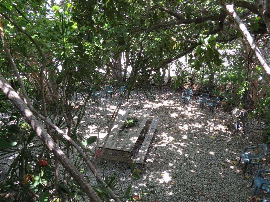 Ed & Ellen'S Lodgings Key Largo