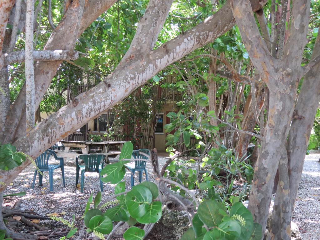 Ed & Ellen'S Lodgings Key Largo Motel