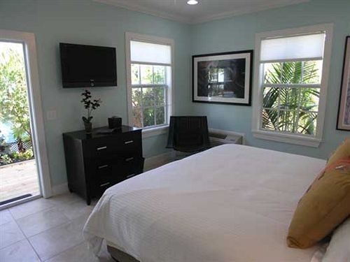 Travelers Palm