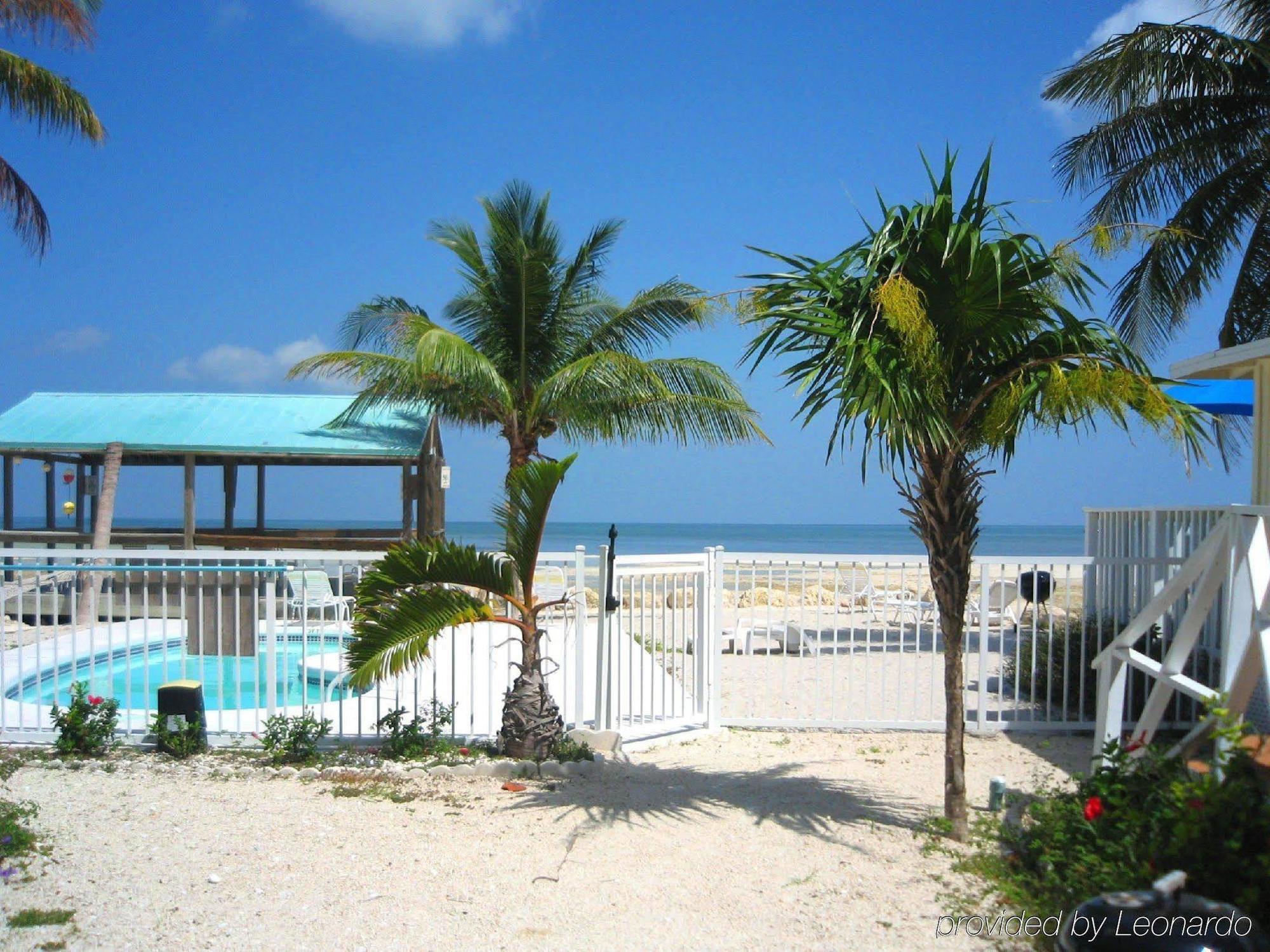 Bonefish 2*